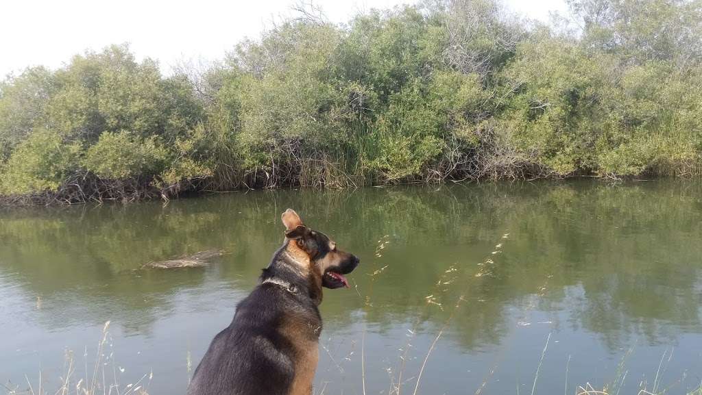 White House Pool Park | Sir Francis Drake Blvd, Point Reyes Station, CA 94956, USA | Phone: (415) 473-6387