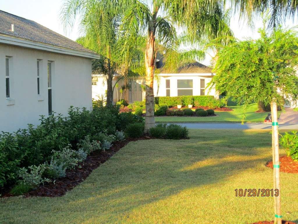 Mansfield Landscaping LLC | 8440 County Rd 48, Yalaha, FL 34797, USA | Phone: (352) 350-5970