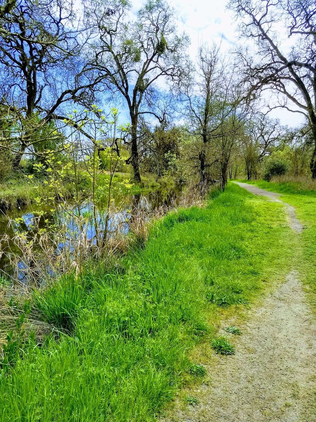 Laguna Wetlands Preserve | Sebastopol, CA 95472, USA | Phone: (707) 823-6167