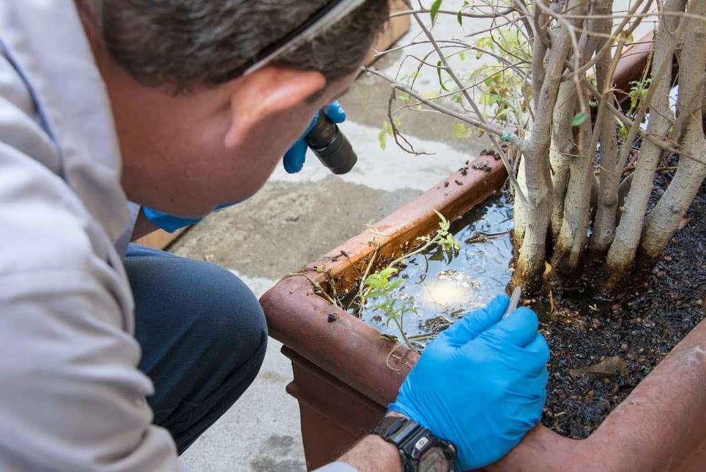 Greater Los Angeles County Vector Control District | 12545 Florence Ave, Santa Fe Springs, CA 90670 | Phone: (562) 944-9656