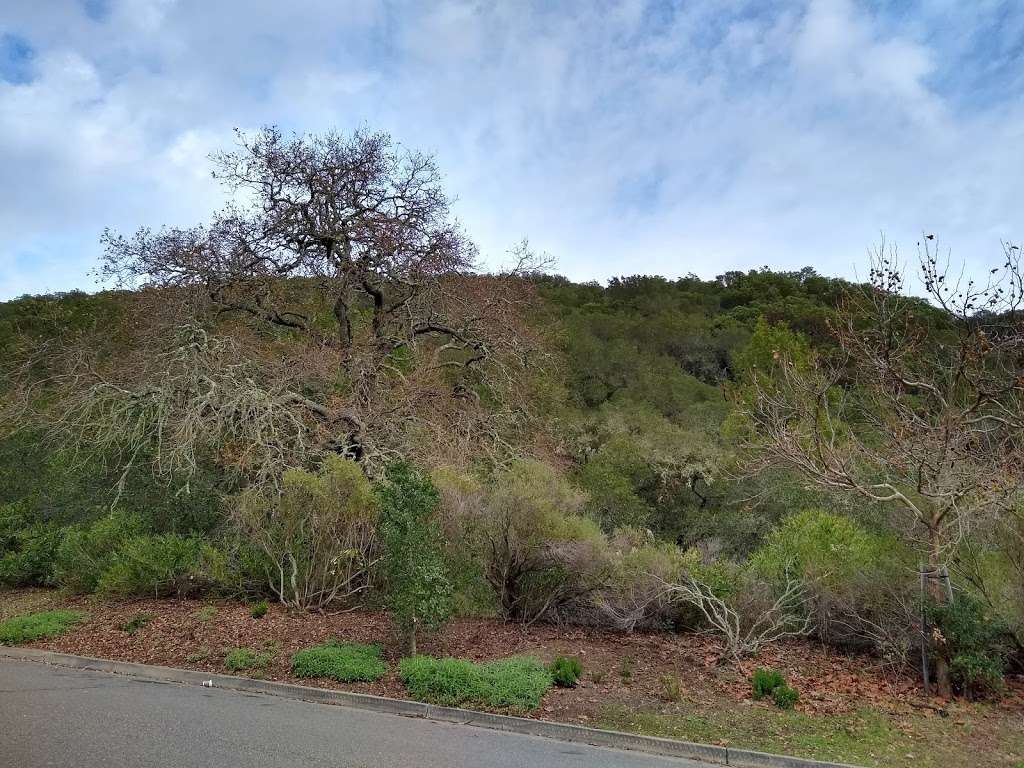 Piping Rock Trail Head | Piping Rock Rd, Novato, CA 94949, USA