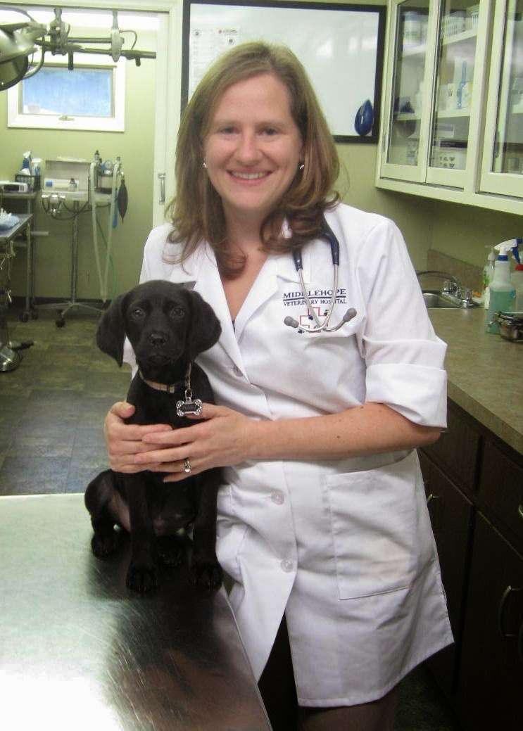 Middlehope Veterinary Hospital | 5349 US-9W, Newburgh, NY 12550, USA | Phone: (845) 562-7861