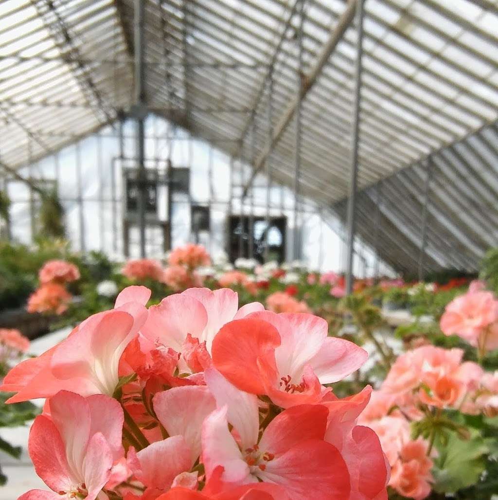 H & J Florist and Greenhouses | 3965 Red Arrow Hwy, St Joseph, MI 49085, USA | Phone: (269) 429-3621