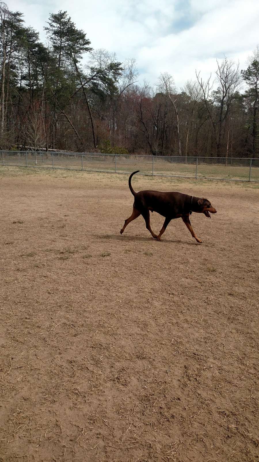 Dog Park | Ernie Pyle St, Fort Meade, MD 20755 | Phone: (301) 677-3810