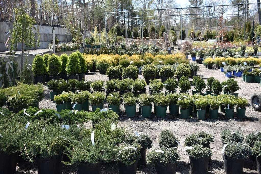 Wolf Hill Garden Center | 60 Turnpike Rd, Ipswich, MA 01938, USA | Phone: (978) 356-6342