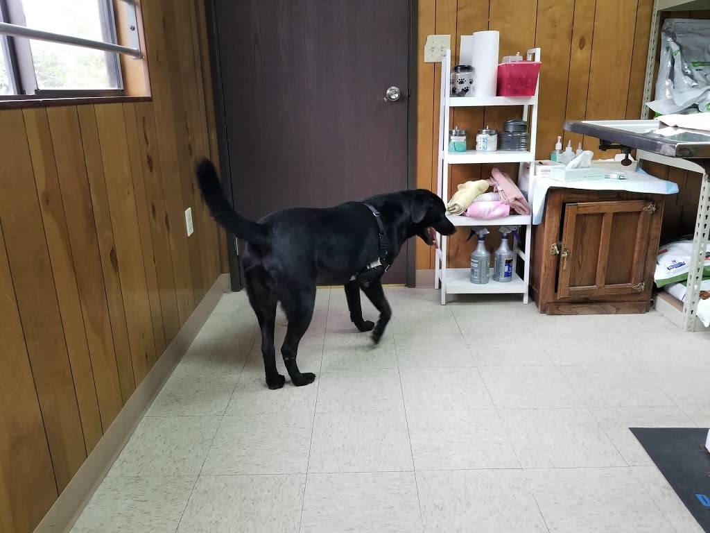 county line animal hospital hours