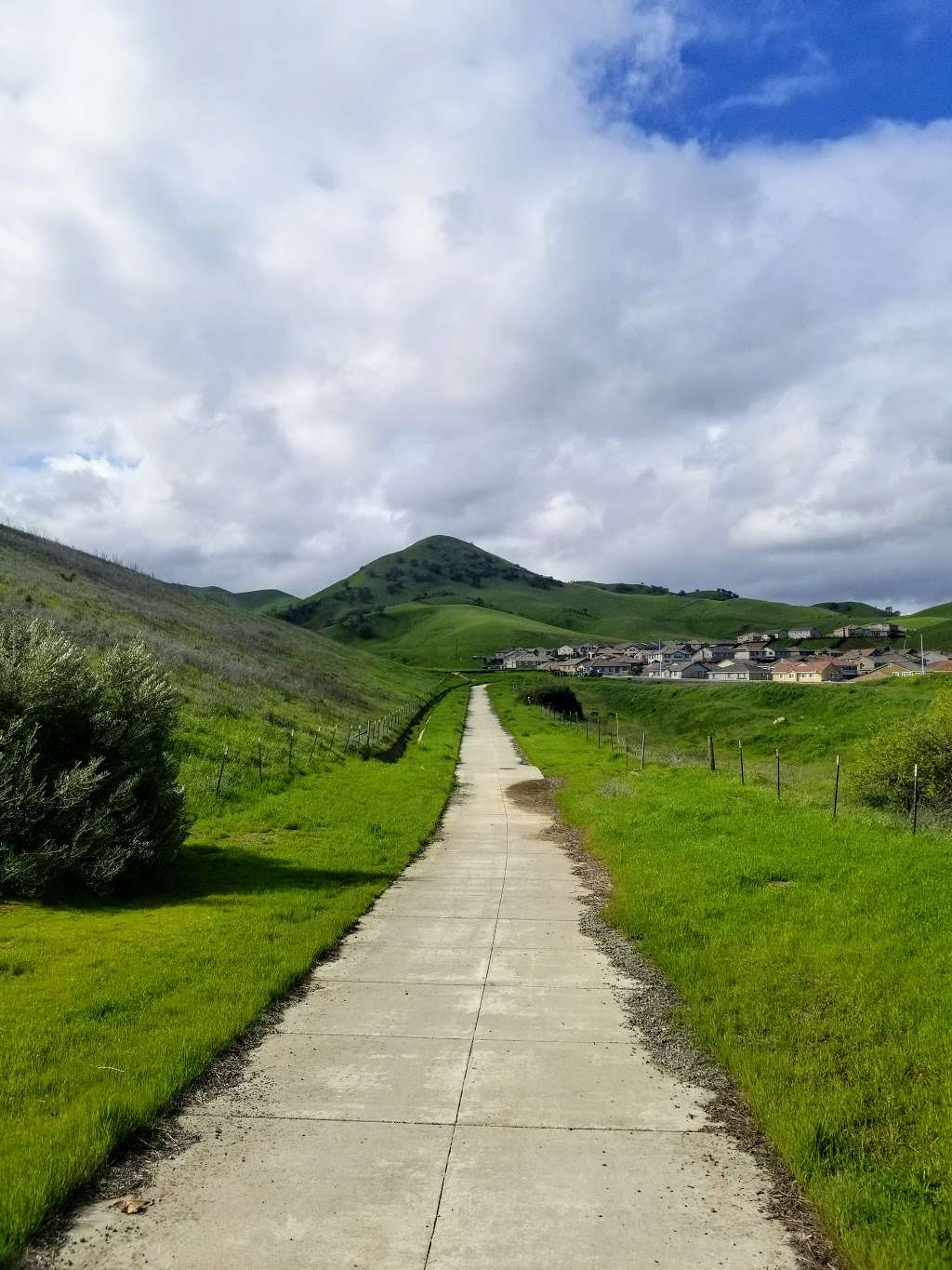 Black Diamond Mines Regional Preserve | 5175 Somersville Rd, Antioch, CA 94509, USA | Phone: (510) 544-2750