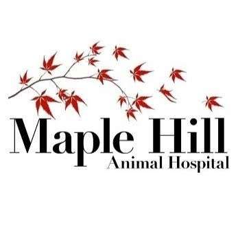 Maple Hill Animal Hospital | 15650 92 Hwy, Platte City, MO 64079 | Phone: (816) 858-2161