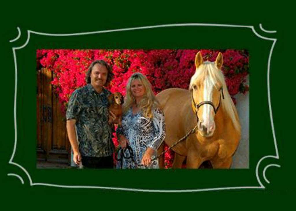 The Holistic Horse | 372 E Yale Loop, Irvine, CA 92614, USA | Phone: (877) 774-0594