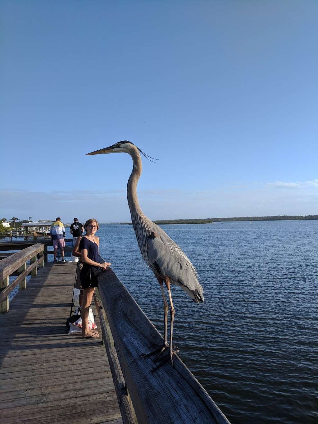 Mary McLeod Bethune Park West Side | Ladyfish Ave, New Smyrna Beach, FL 32169, USA