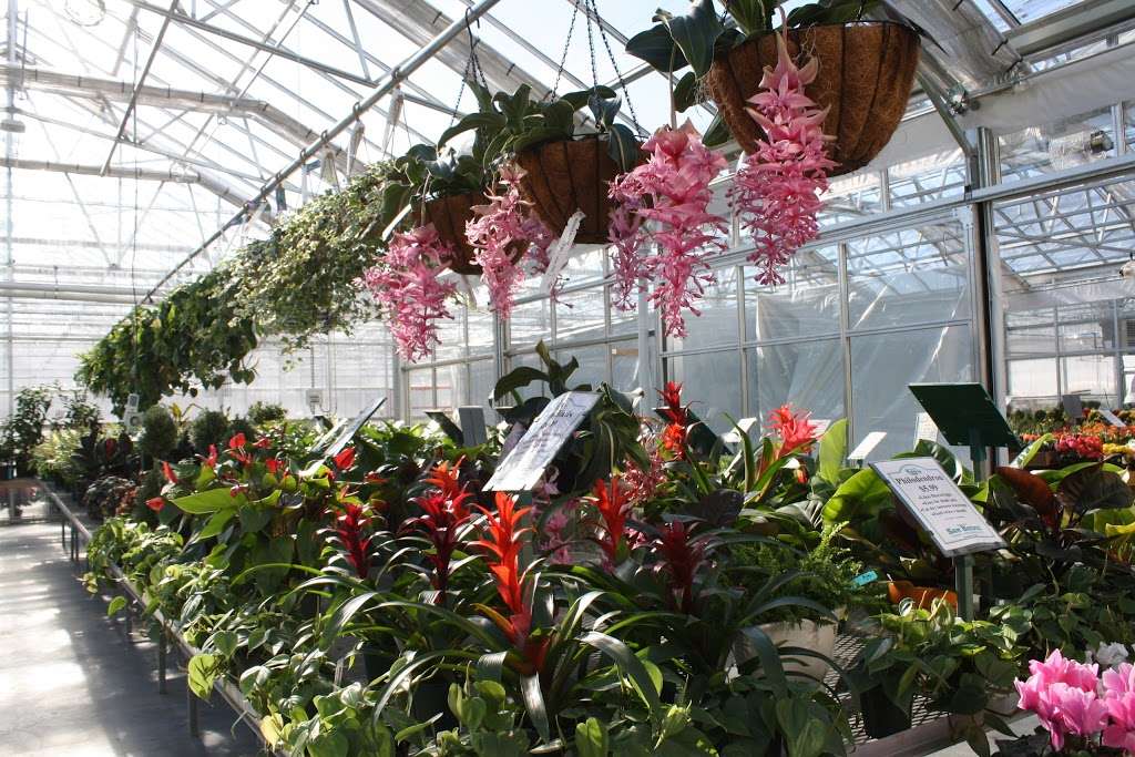 Sam Bridge Nursery & Greenhouses, LLC | 437 North Street, Greenwich, CT 06830, USA | Phone: (203) 869-3418