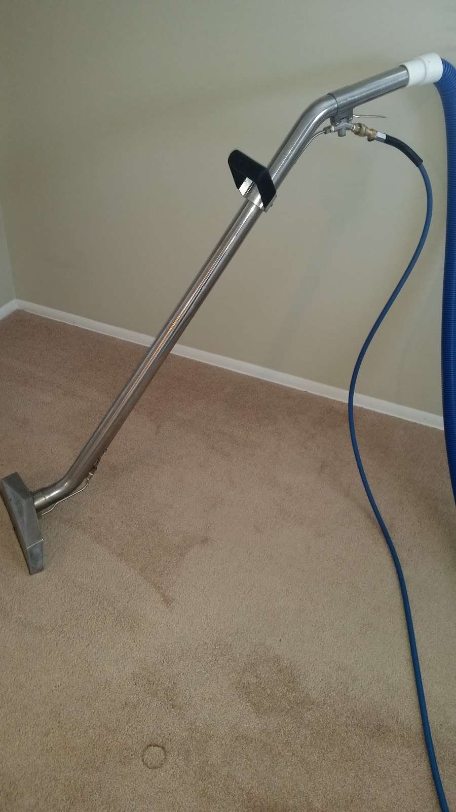 The Right Guy Carpet Cleaning, Inc | 2948 Kirk Rd Suite 106-185, Aurora, IL 60502, USA | Phone: (630) 354-8724
