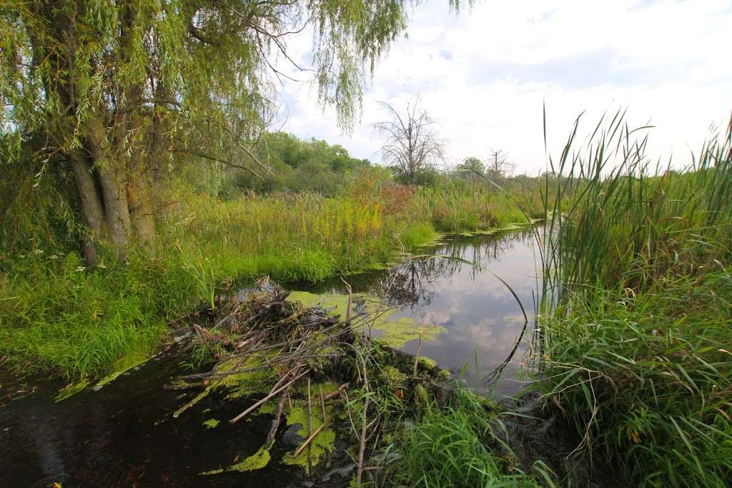 New Munster Bog Island State Natural Area | Burlington, WI 53105, USA | Phone: (888) 936-7463