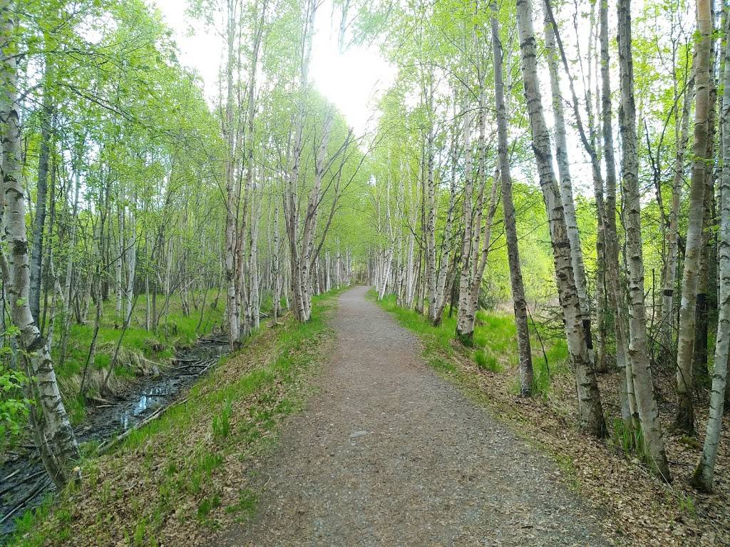 Baxter Bog Park | 3424 Lunar Cir, Anchorage, AK 99504, USA | Phone: (907) 343-4355