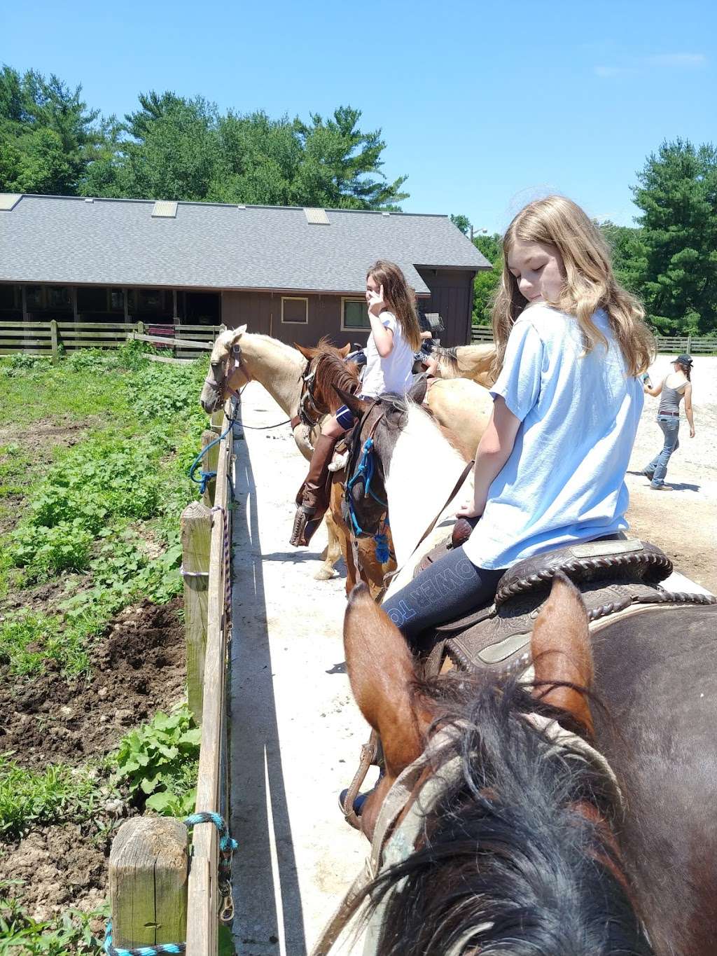 McCormicks Creek State Park Saddle Barn | 250 McCormick Creek Park Rd, Spencer, IN 47460, USA | Phone: (812) 829-8848