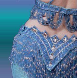 Naama Rose Belly Dance | 3725 Chicago Rd, Steger, IL 60475, USA | Phone: (847) 864-6464