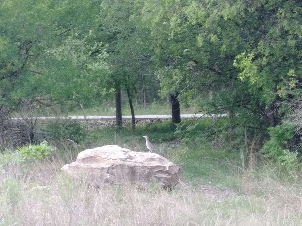 Buddy Calk Trailhead | 6934 Babcock Rd, San Antonio, TX 78249, USA