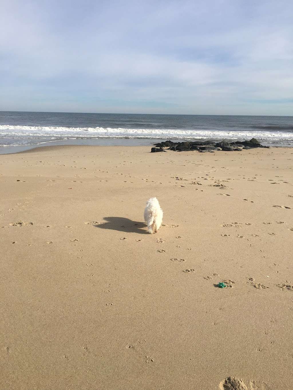 North End Beach | Ocean Ave N, Long Branch, NJ 07740, USA