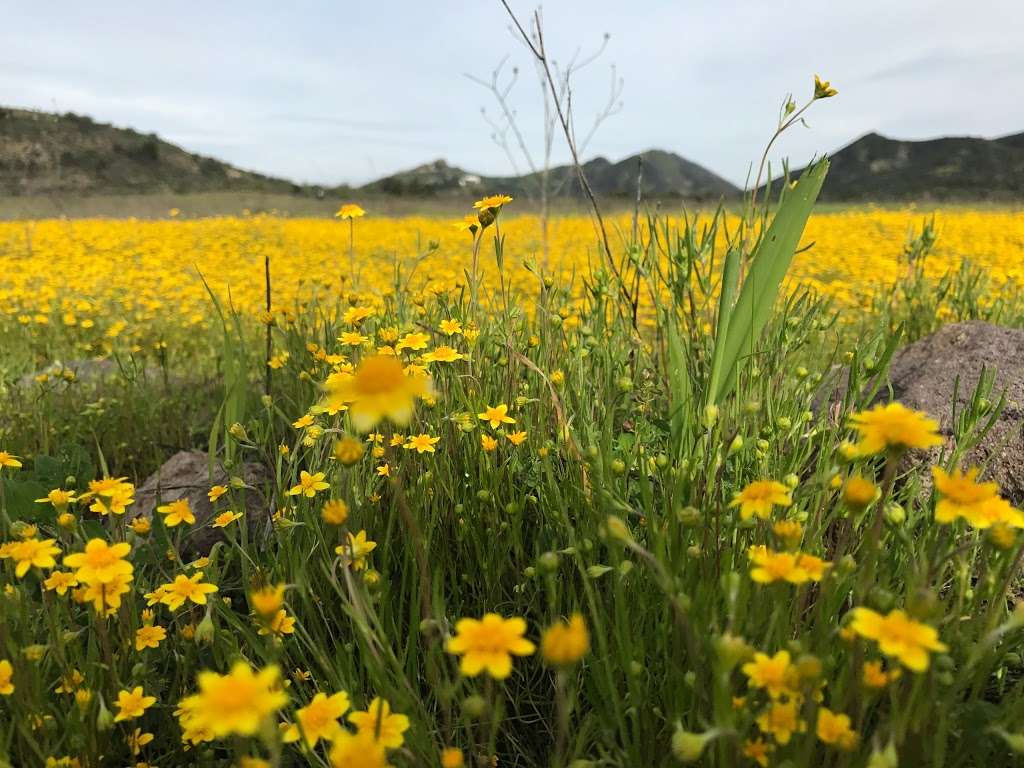 Triunfo Creek Park | Westlake Village, CA 91361, USA