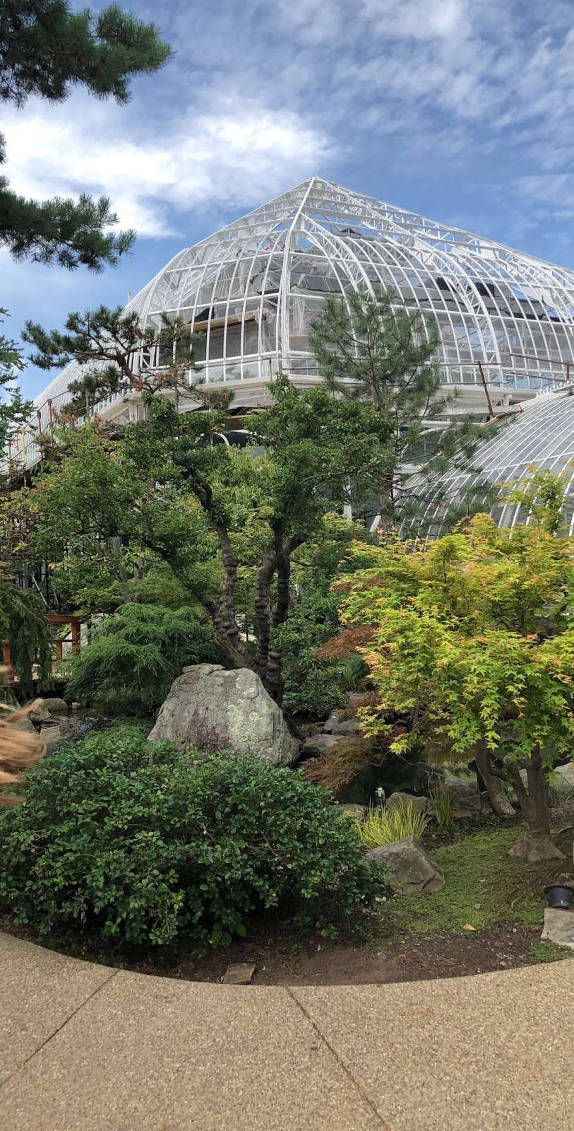 Phipps Botanical Garden | Turnberry Ln, Hazle Township, PA 18202, USA