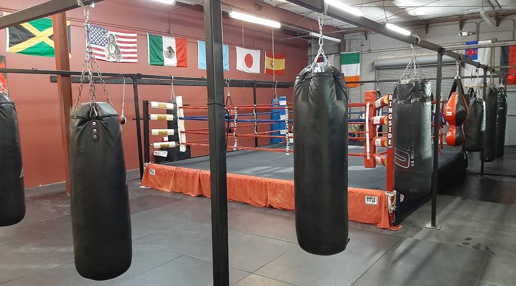 Hard Knocks Gym | 11042 N 24th Ave #105, Phoenix, AZ 85029, USA | Phone: (602) 944-4791