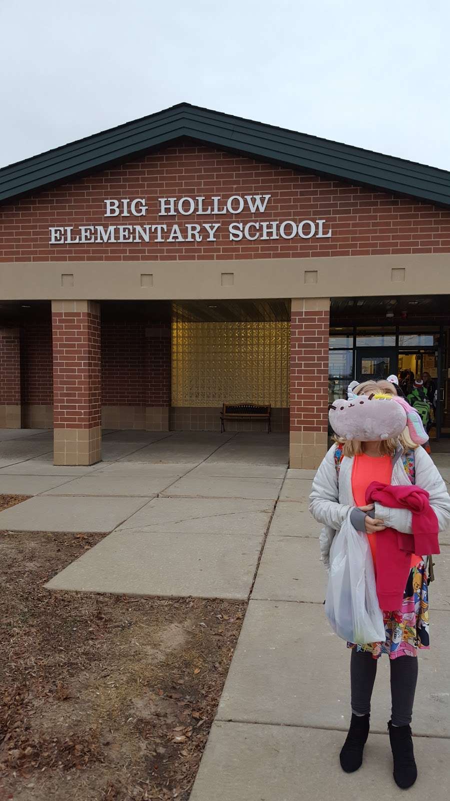 Big Hollow Elementary School | 33315 N Fish Lake Rd, Ingleside, IL 60041, USA | Phone: (847) 740-5321
