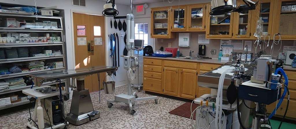 Rockhill Veterinary Associates | 3210 State Rd, Sellersville, PA 18960, USA | Phone: (215) 257-6515