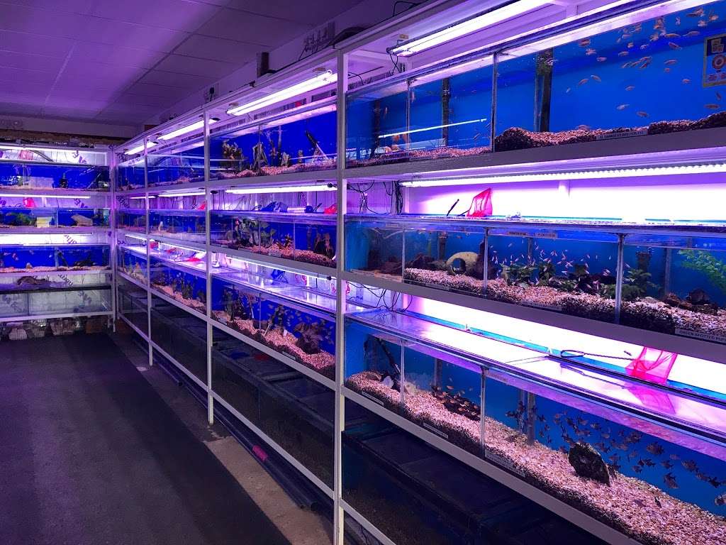 Ware Aquatics | 1 The Green, Ware SG12 0QW, UK | Phone: 01920 464442