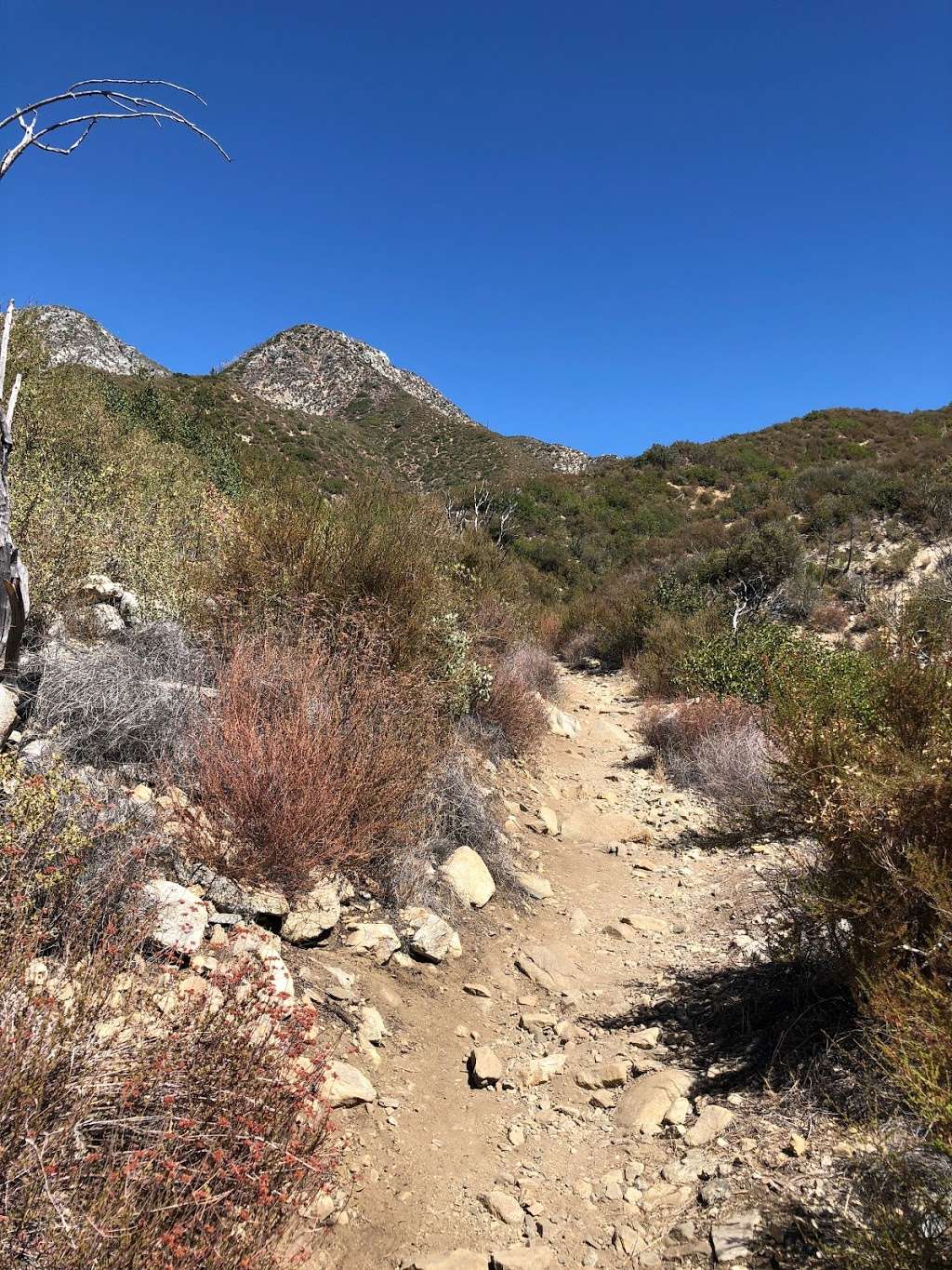 Colby Canyon Trailhead | 701 Angeles Crest Hwy, Tujunga, CA 91042, USA