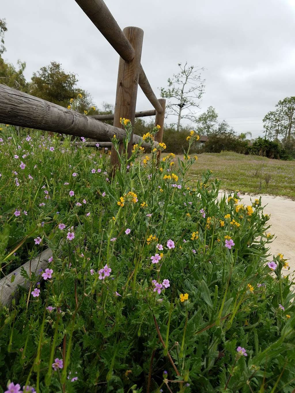 Oak Riparian Park | 4625 Lake Blvd, Oceanside, CA 92056, USA