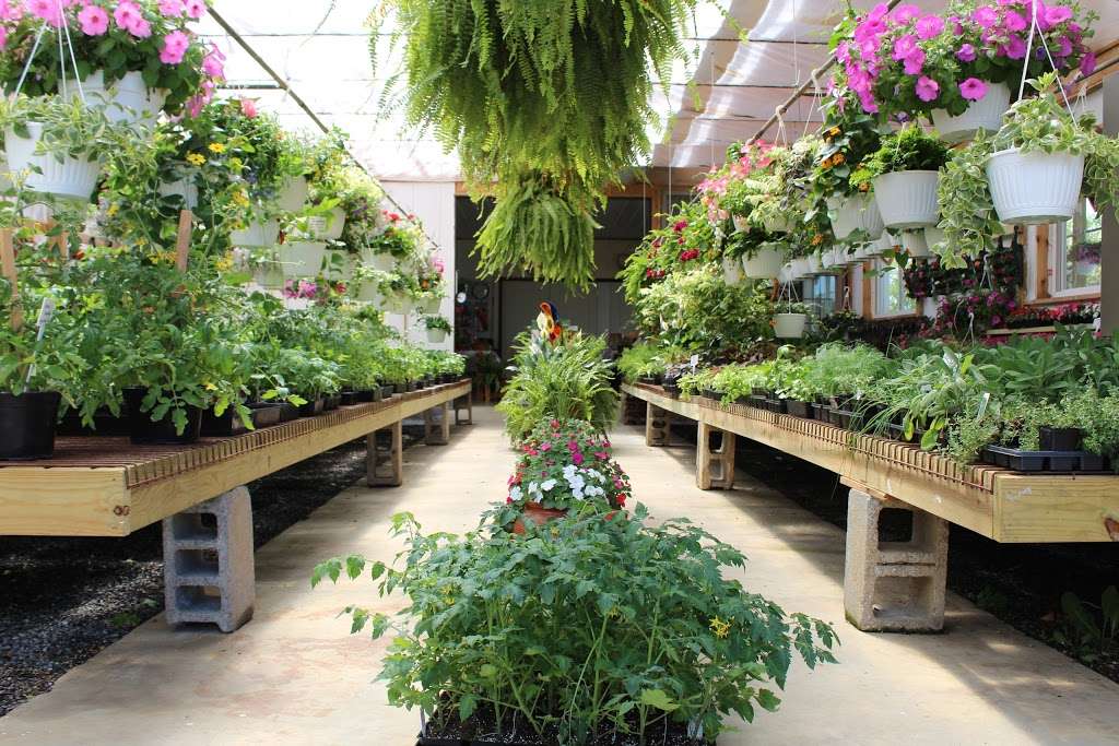 Hidden Acres Greenhouse | 956 Fallowfield Rd, Atglen, PA 19310, USA | Phone: (610) 593-7365