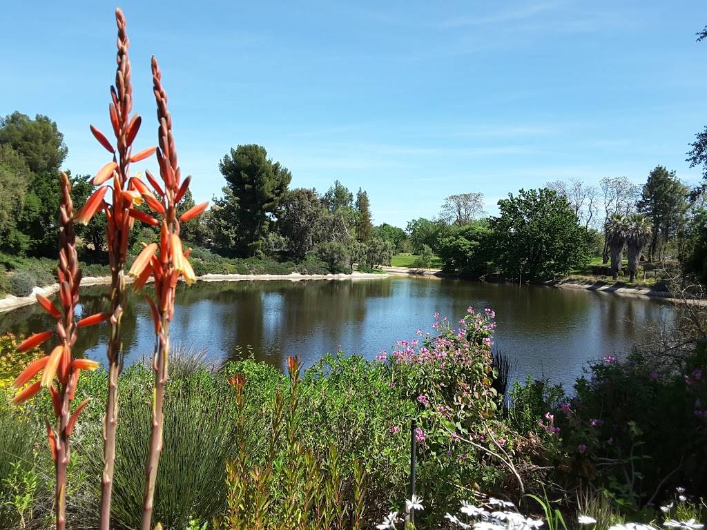 Carolee Shields White Flower Garden and Gazebo | Davis, CA 95616, USA