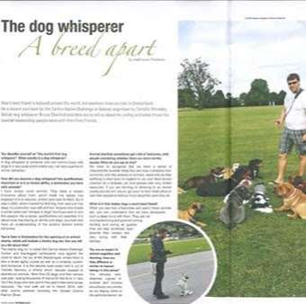 The Dog Whisperer U.K. | 100, Sutton SM2 6HW, UK | Phone: 07947 879650