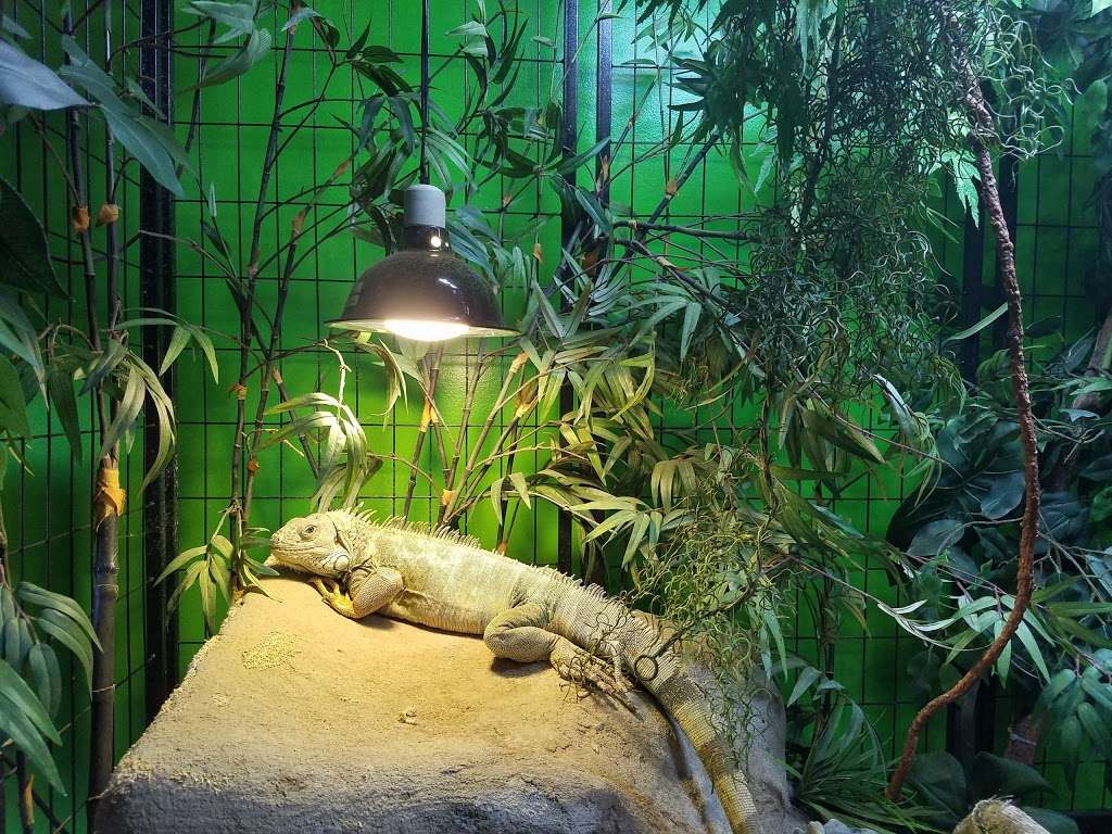 Parker Exotic Pets | 17880 Cottonwood Dr, Parker, CO 80134 | Phone: (720) 851-1233