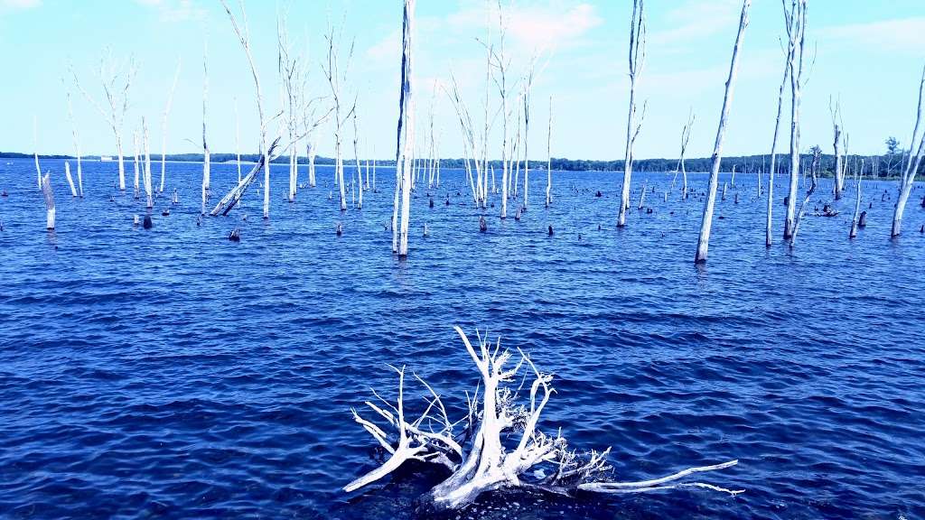 Manasquan Reservoir | 311 Windeler Rd, Howell, NJ 07731, USA | Phone: (732) 919-0996