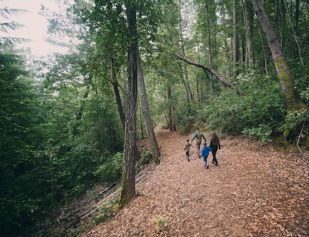 Better Place Forests Santa Cruz | Buzzard Lagoon Rd, Los Gatos, CA 95033, USA | Phone: (877) 830-8311