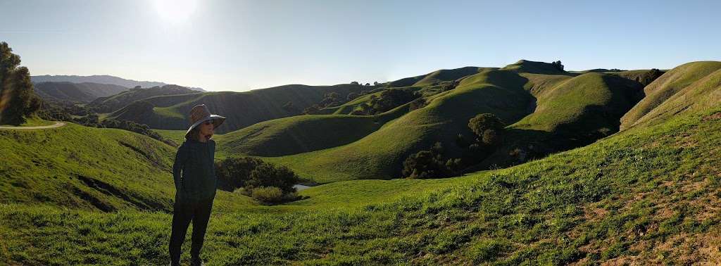 Briones Regional Park | 5363 Alhambra Valley Rd, Martinez, CA 94553 | Phone: (888) 327-2757