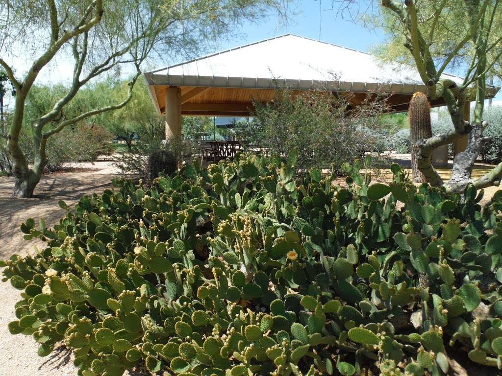 Sonoran Hills Park | 7625 E Williams Dr, Scottsdale, AZ 85255, USA | Phone: (480) 312-7275