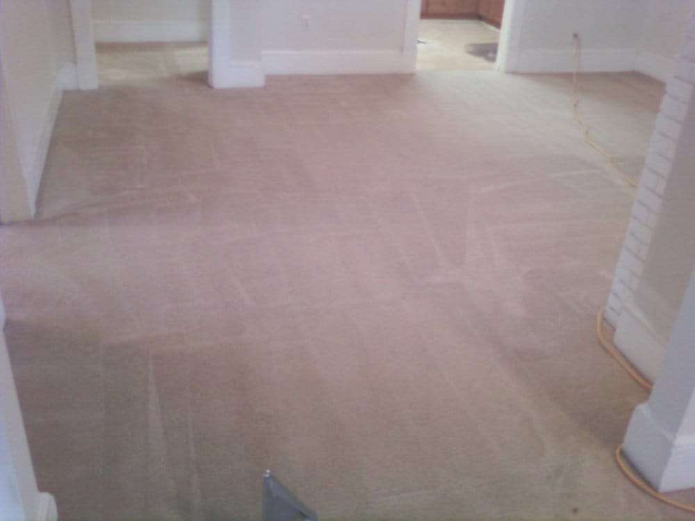 Power Carpet Cleaning | 890 N Elmhurst Rd, Prospect Heights, IL 60070 | Phone: (847) 744-9235