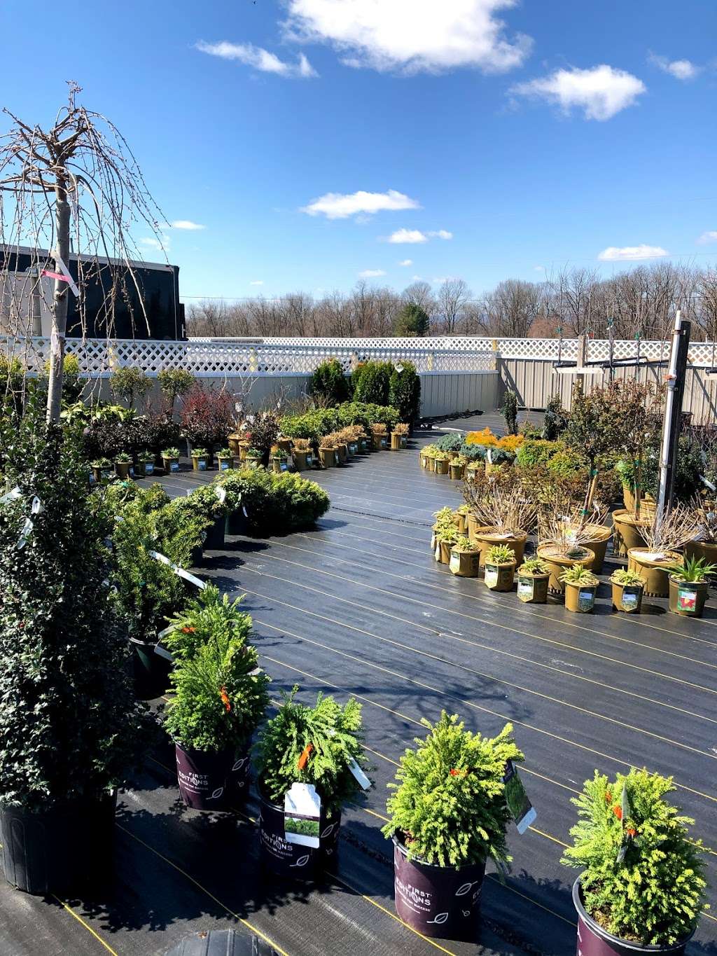 Valley View Nursery | 180 Fire House Rd, Shippensburg, PA 17257, USA | Phone: (717) 530-0159