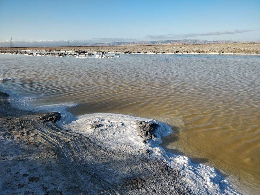 Bedwell Bayfront Park | 1600 Marsh Rd, Menlo Park, CA 94025, USA | Phone: (650) 330-2222