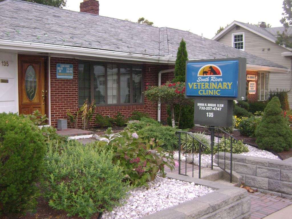 South River Veterinary Clinic | 135 Main St, South River, NJ 08882, USA | Phone: (732) 257-4747