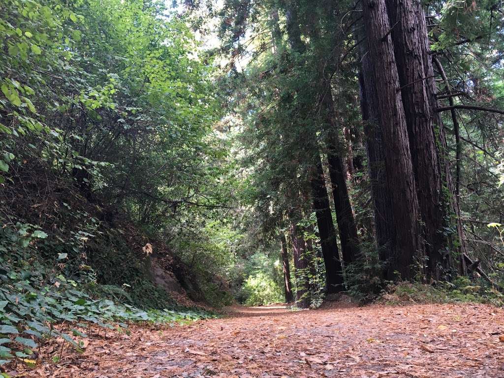 Enchanted Trail Trailhead | Santa Cruz, CA 95065, USA