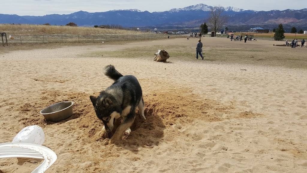 Rampart Dog Park | 8270 Lexington Dr, Colorado Springs, CO 80920, USA | Phone: (719) 385-5940