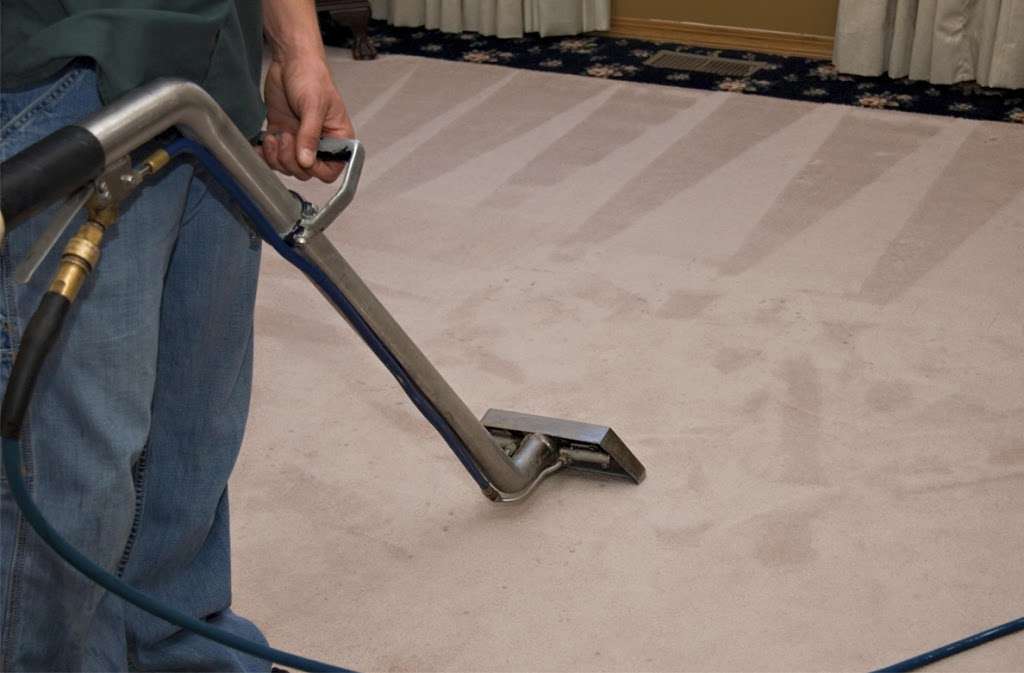 Expo Carpet Cleaning - Woodland Hills | 4790 Excelente Dr, Woodland Hills, CA 91364, USA | Phone: (877) 288-8184