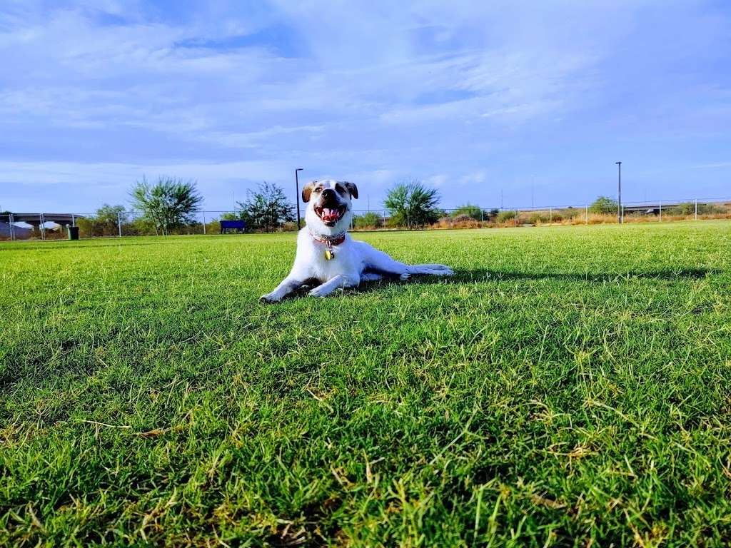 Pinnacle Dog Park | 20900 N Black Mountain Blvd, Phoenix, AZ 85050 | Phone: (602) 262-6862