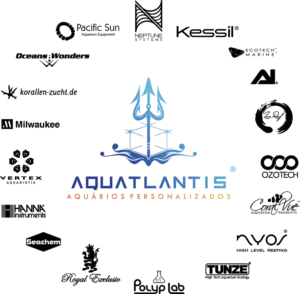 Aquatlantis - Aquarios Personalizados USA | 2626 Giardino Loop, Kissimmee, FL 34741, USA | Phone: (386) 310-9193