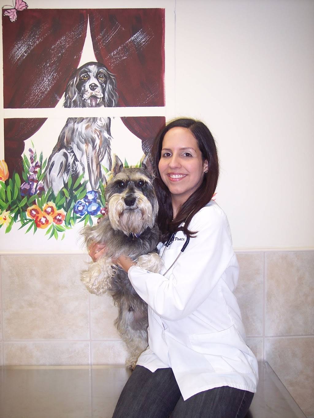 Bayonne Animal Hospital | 1170 John F. Kennedy Blvd, Bayonne, NJ 07002 | Phone: (201) 339-0121