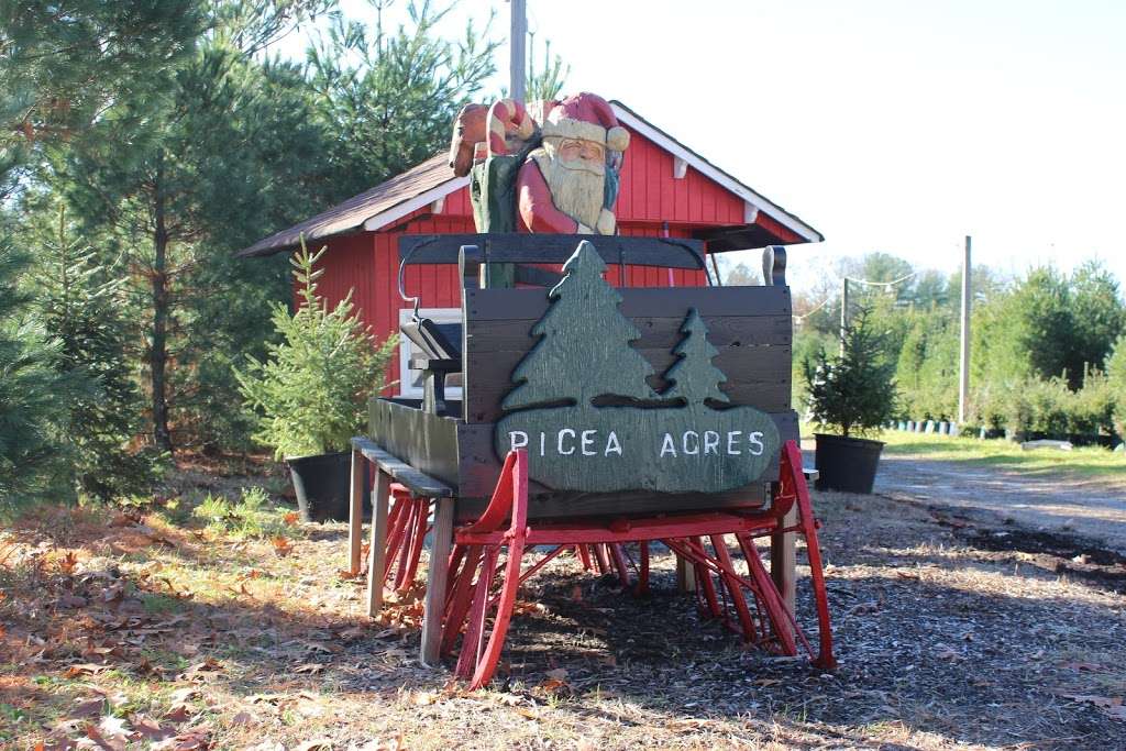 Picea Acres | 50 S New Prospect Rd, Jackson, NJ 08527, USA | Phone: (732) 370-8733