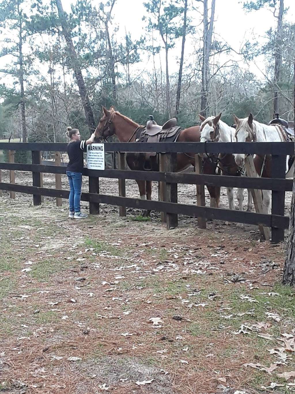 The Stables | 235 Chain-O-Lakes Resort, Cleveland, TX 77327 | Phone: (832) 397-4008